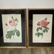 Pair of gilded wooden botanical frames from the 70s