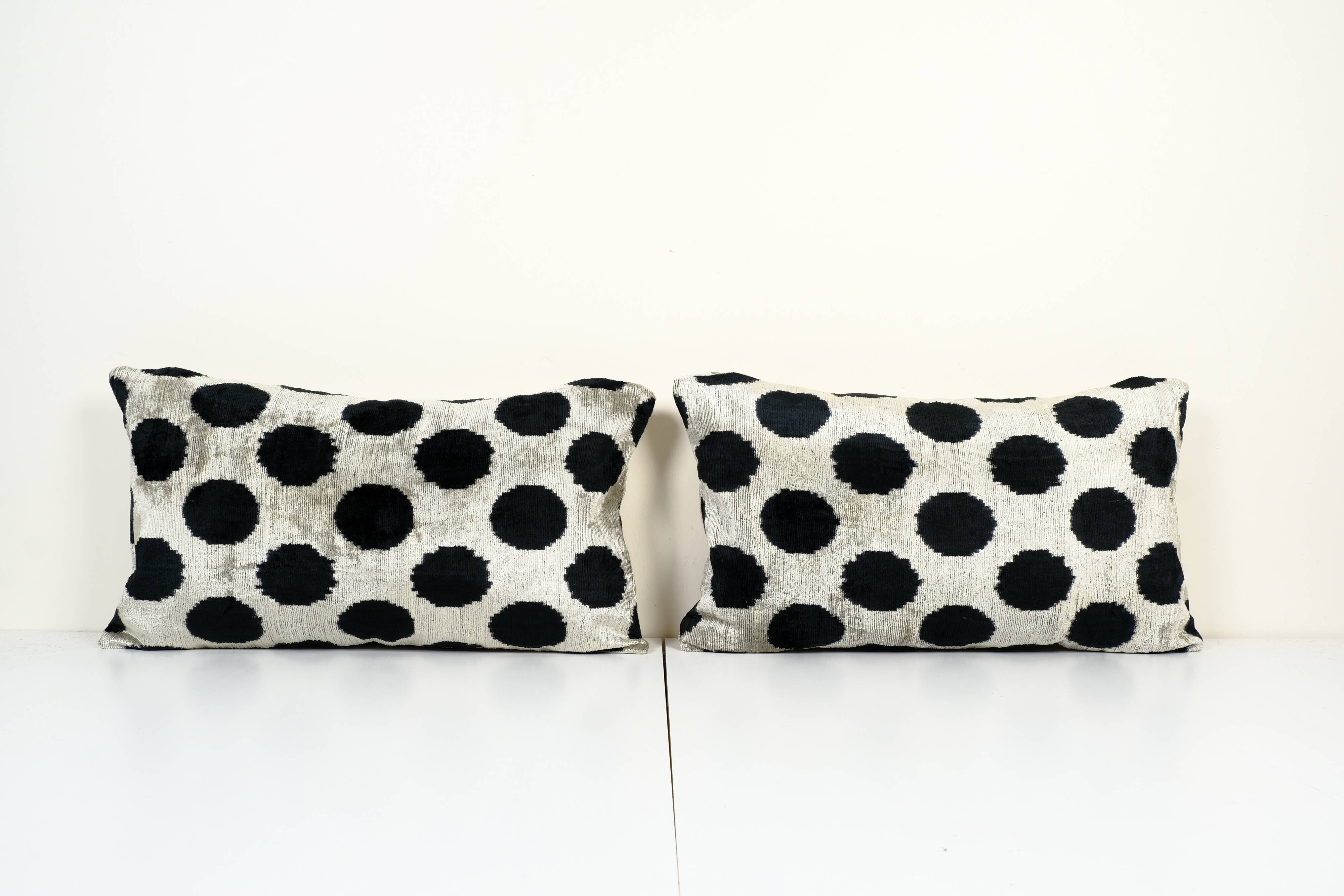 Paire de coussin ikat