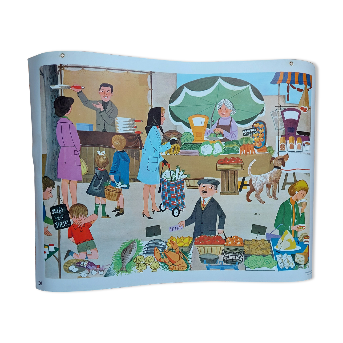 Rossignol/montmorillon educational poster