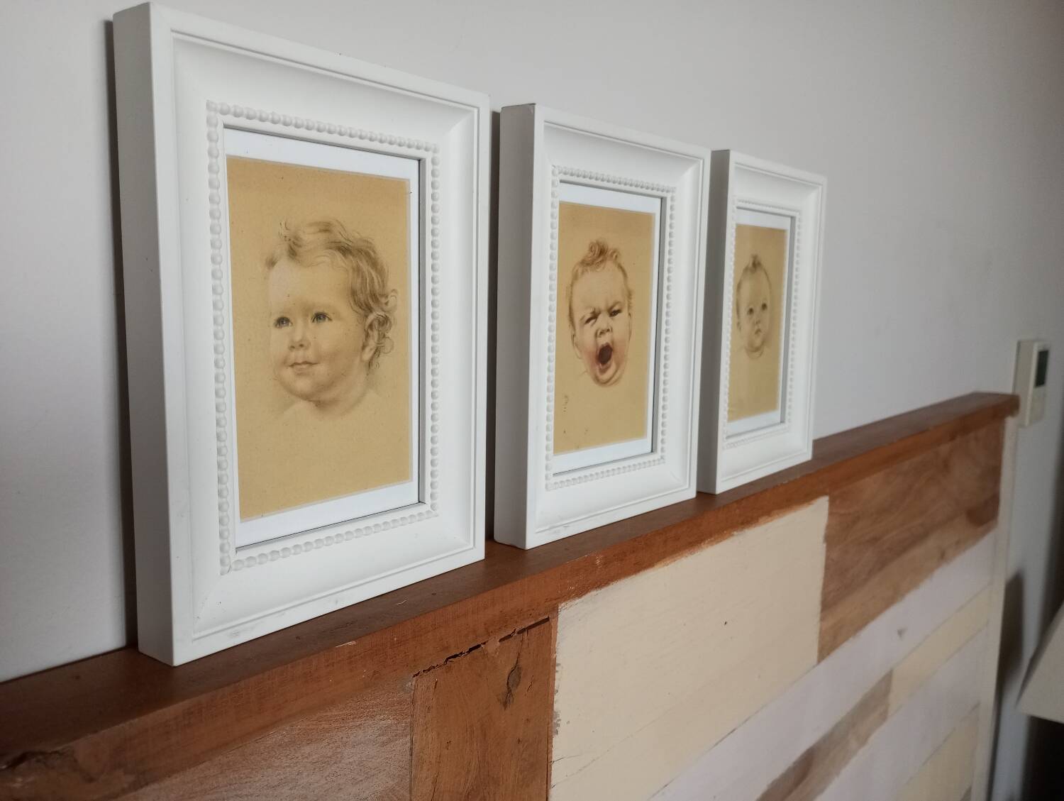 Trio d'illustrations juvéniles