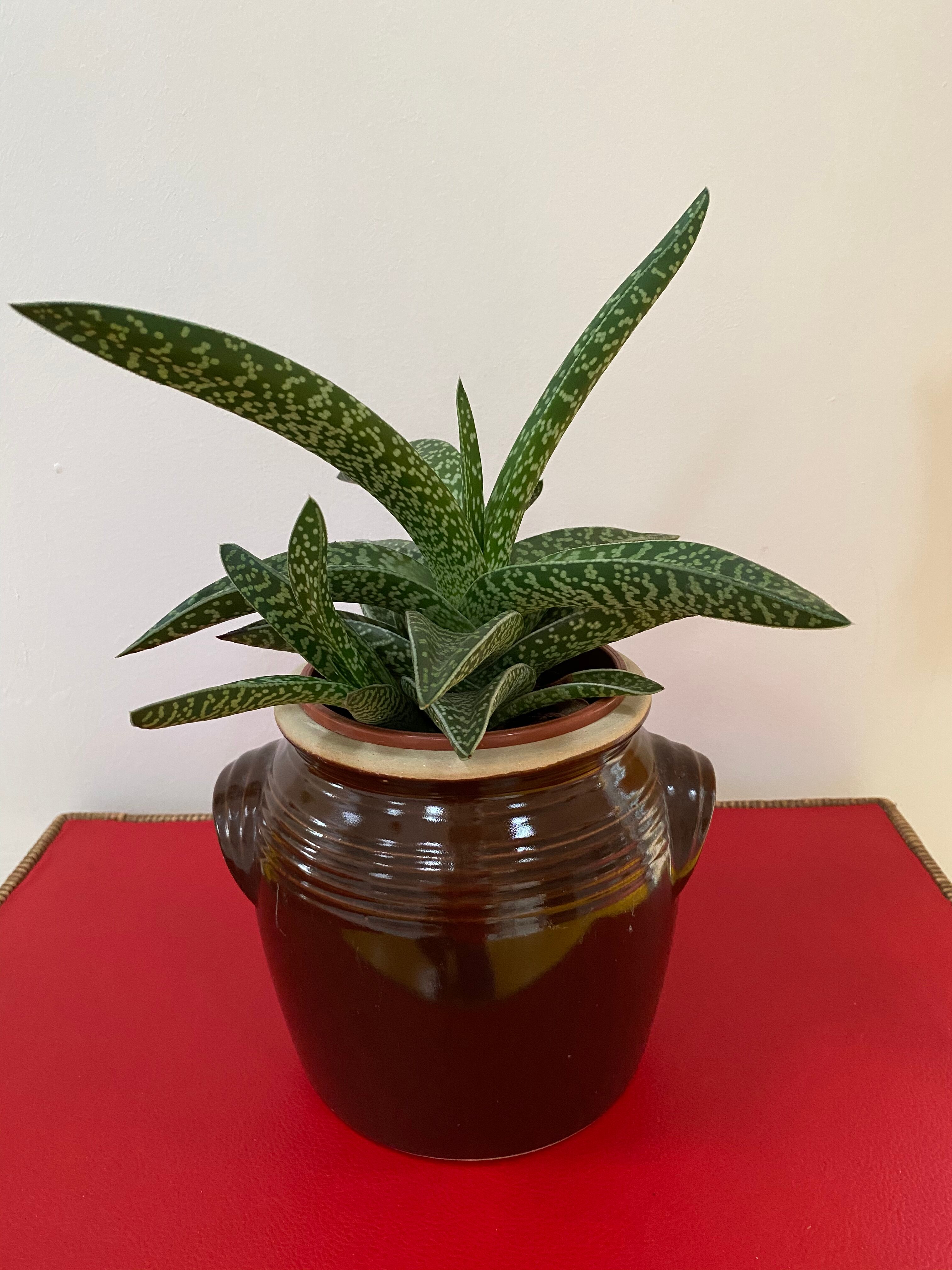 Old Gers candied sandstone pot