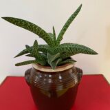 Old Gers candied sandstone pot