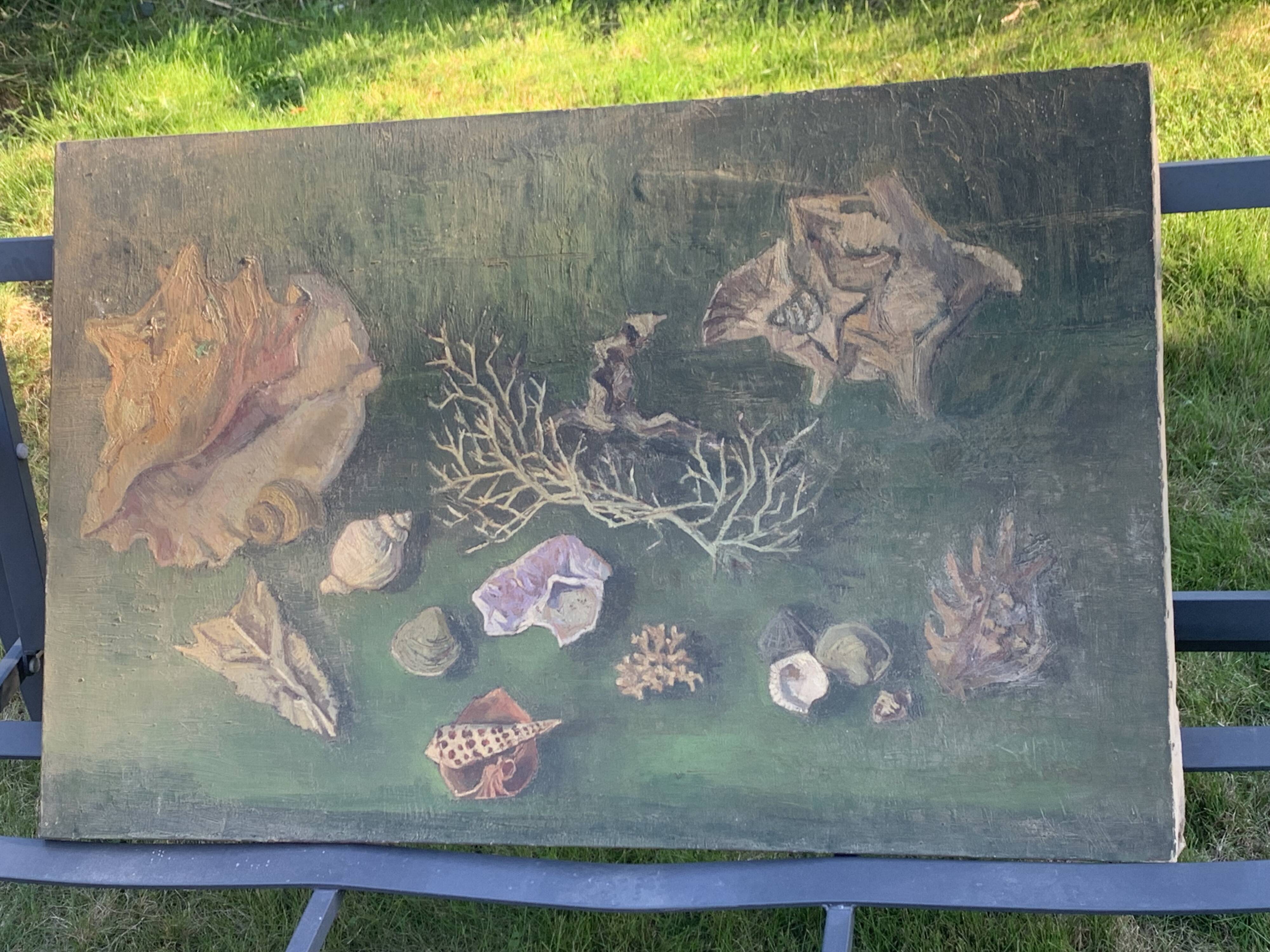 Large painting of shells, cabinet of curiosities, sign, vintage