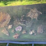 Large painting of shells, cabinet of curiosities, sign, vintage