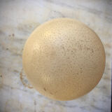 Ostrich egg