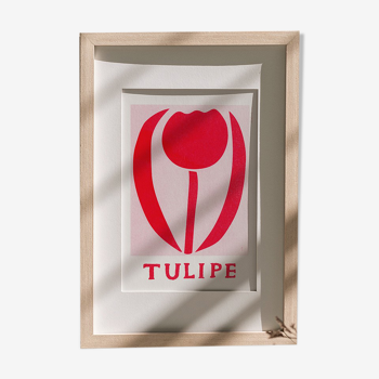 Illustration, Tulipe