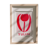 Tulip illustration