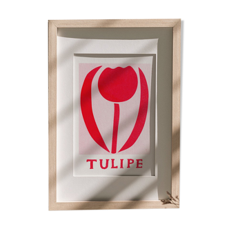 Tulip illustration