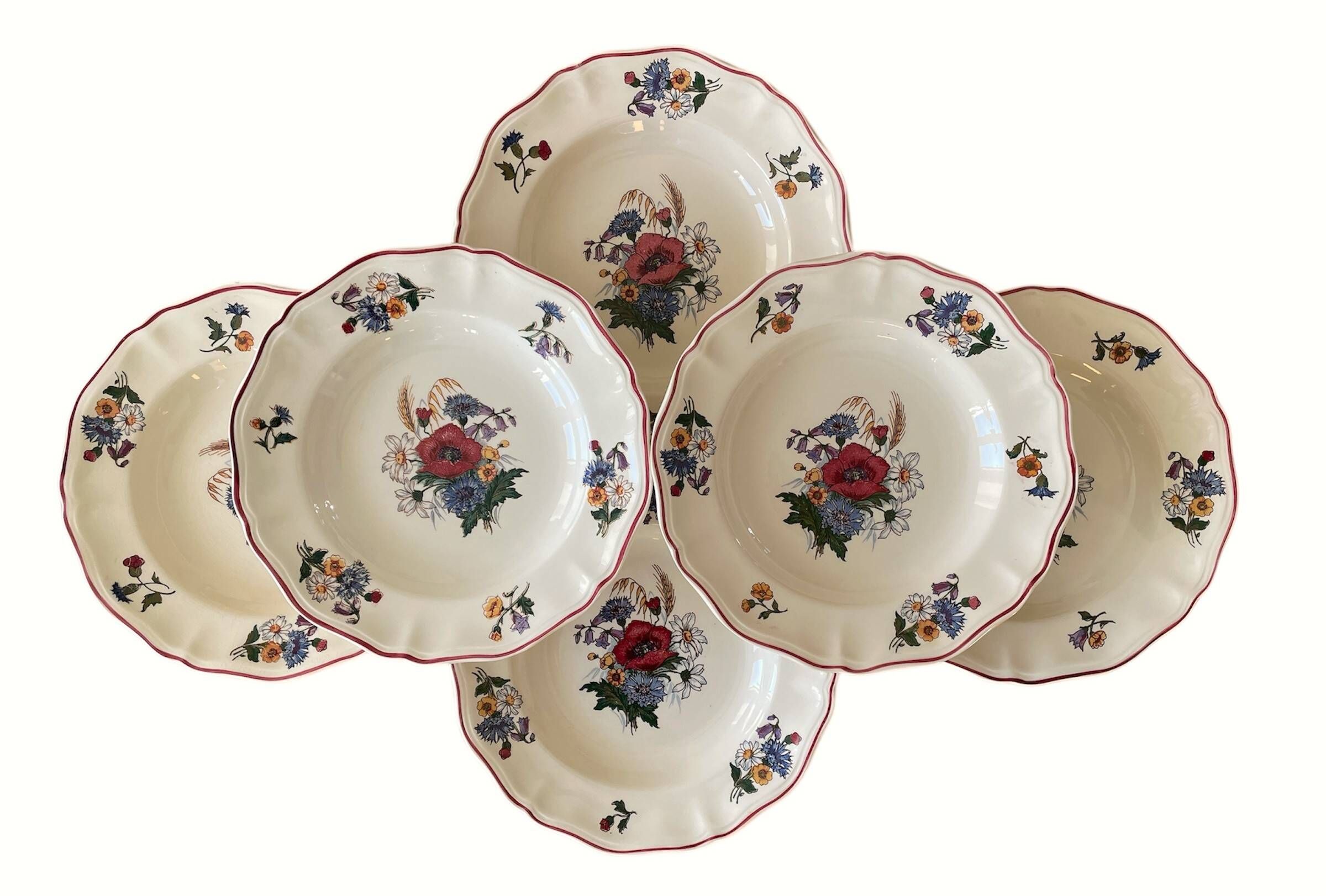 6 large antique deep plates in Sarreguemines earthenware