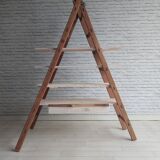 Ladder shelf