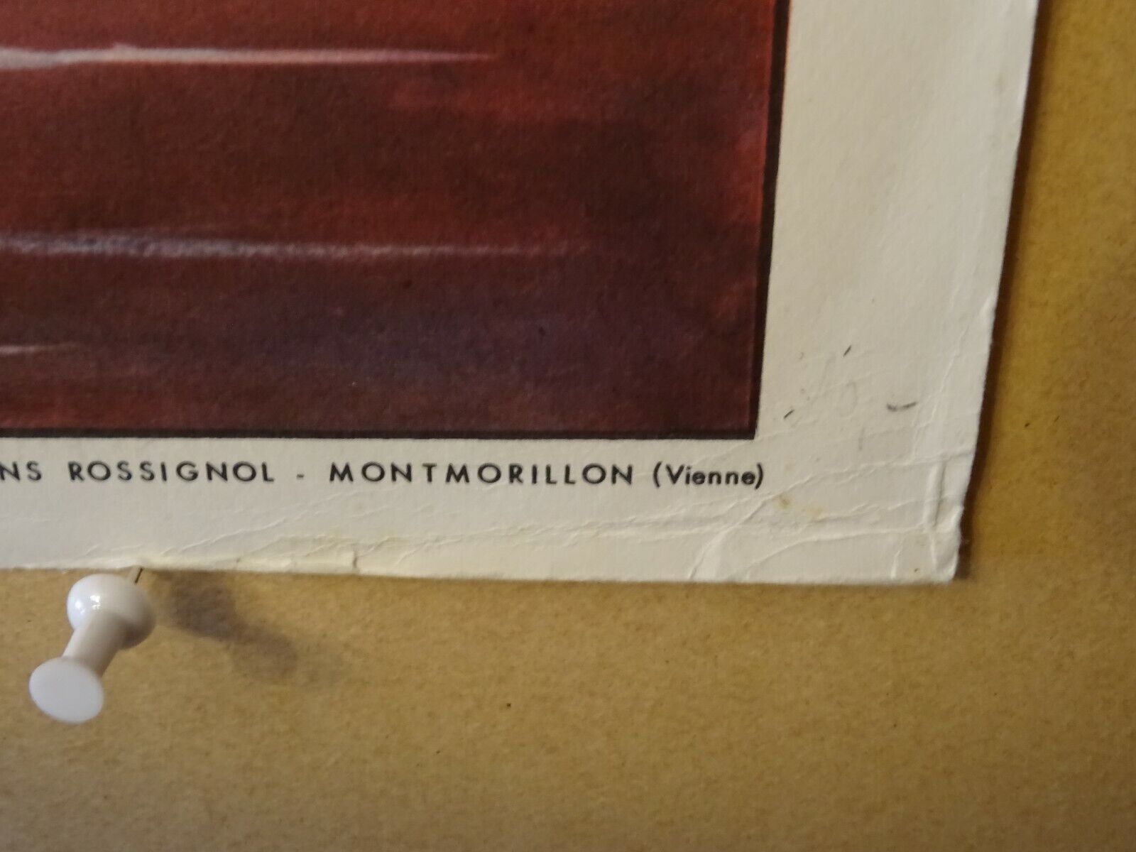 Rossignol school poster in the sea underwater life / the bocage
