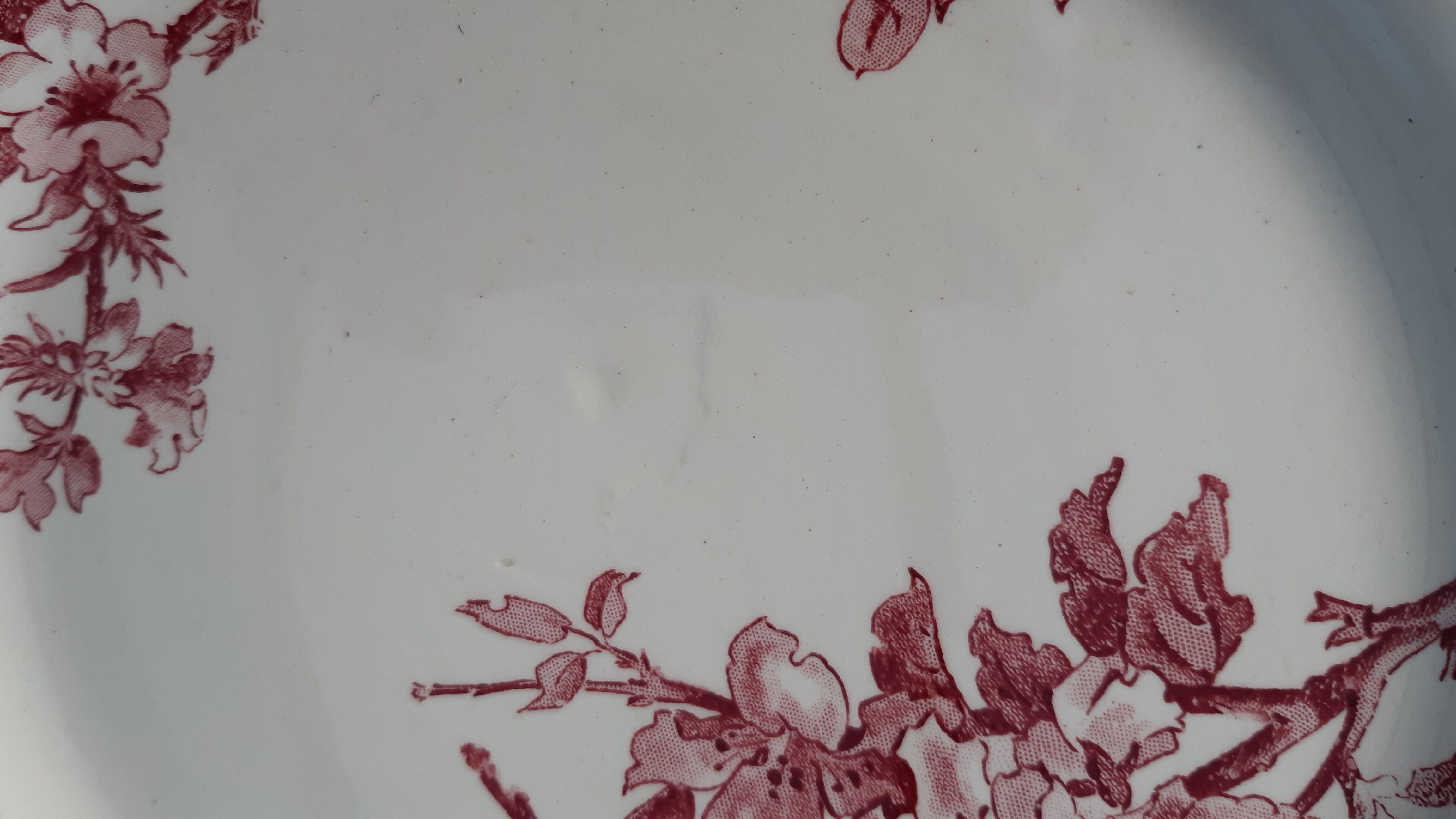 Assiette Sarreguemines favori