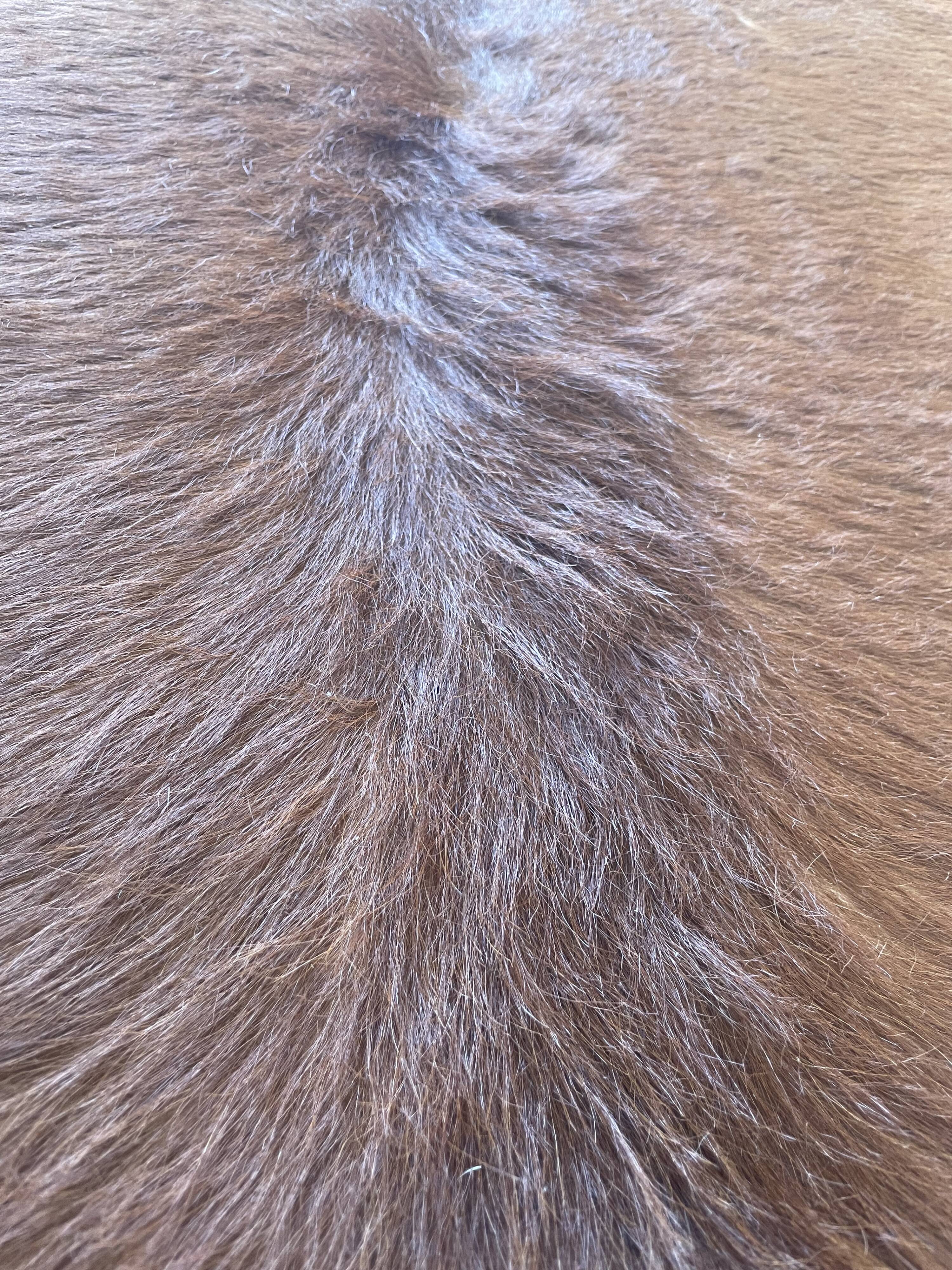 Brown and white cow rug