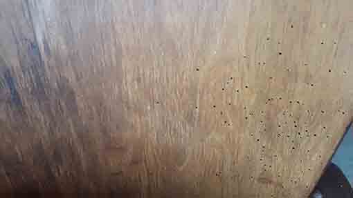 Old cinema armchairs