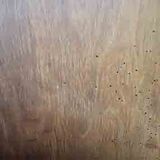 Old cinema armchairs