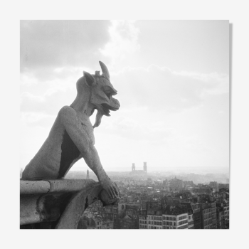 Tirage photo argentique baryté Gargouille Notre dame de Paris. Format 40cmx40cm