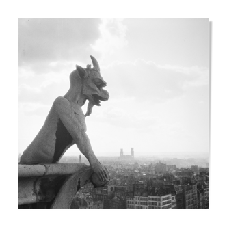 Silver photo print baryté Gargouille Notre dame de Paris. Format 40cmx40cm