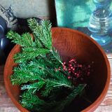 Scandinavian teak bowl xl