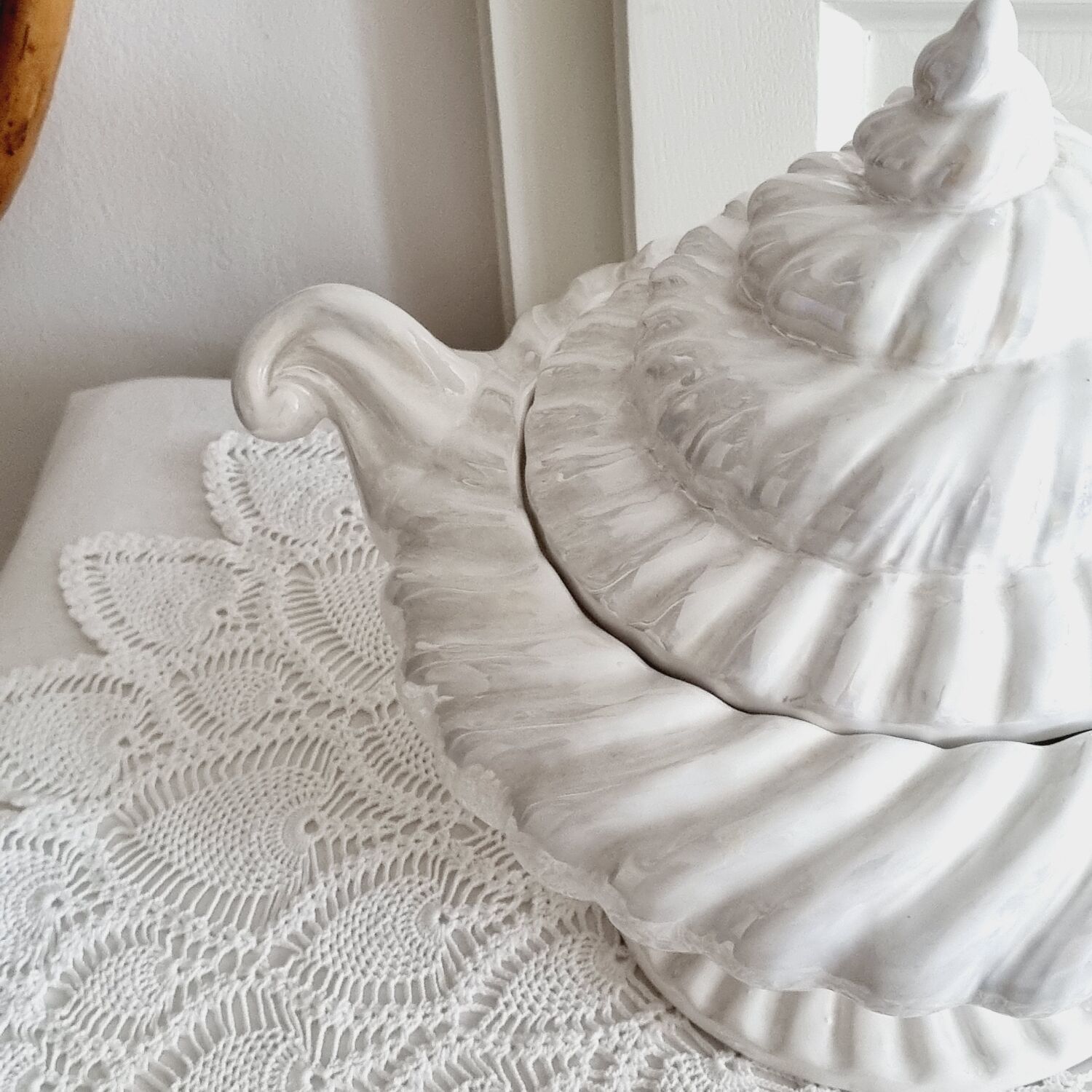 Shell tureen in slurry Portugal