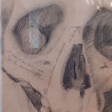 Pair of nineteenth pencil study drawings