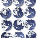 Ensemble de 12 assiettes style Polynéien
