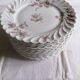 12 Haviland dinner plates