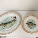 Fish service