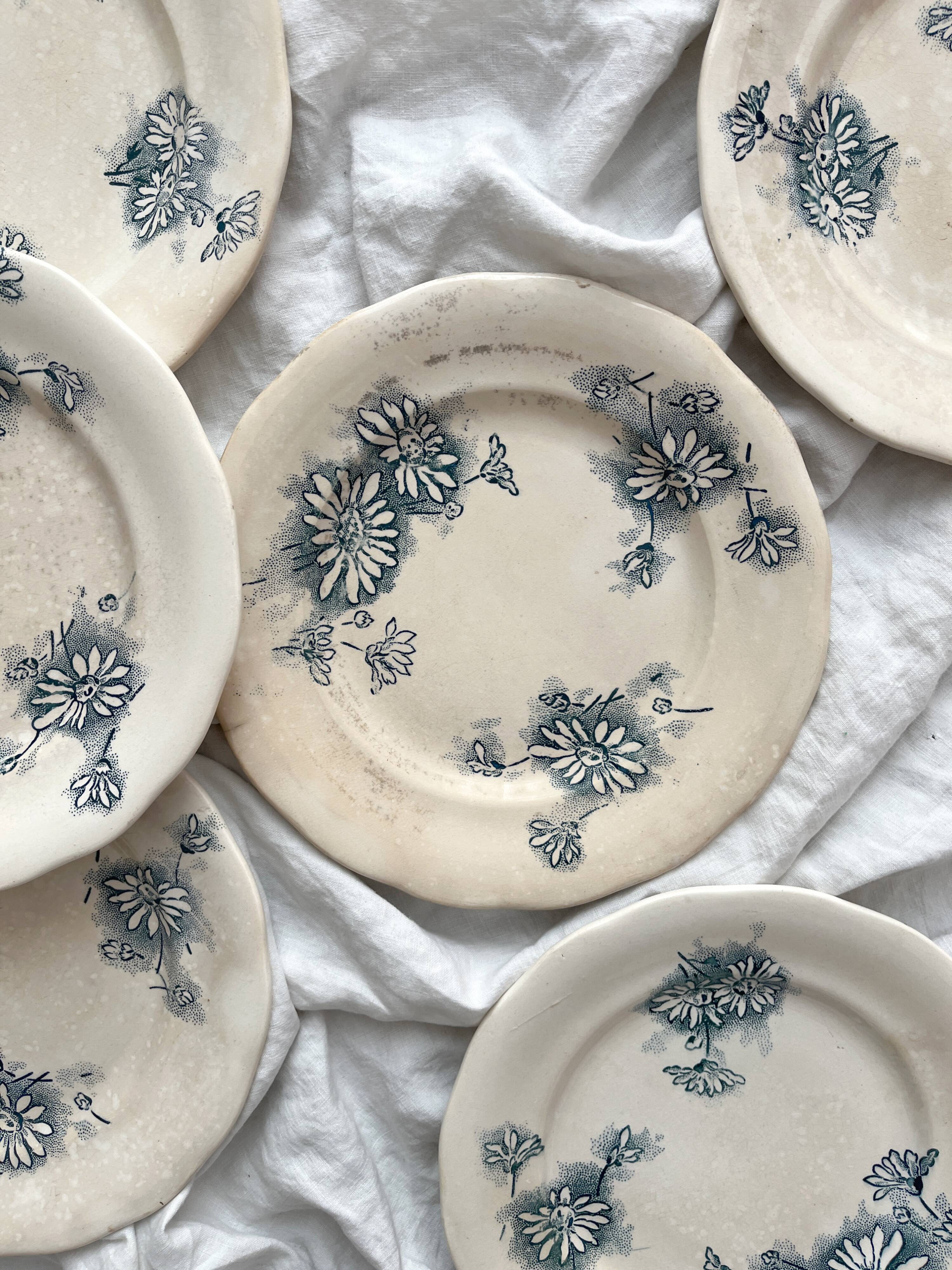 7 "Marguerite" ironstone dessert plates from the Nouvelle Givors pottery factory