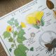 Rossignol pedagogical poster "The cotton tree and the mango tree" vintage.