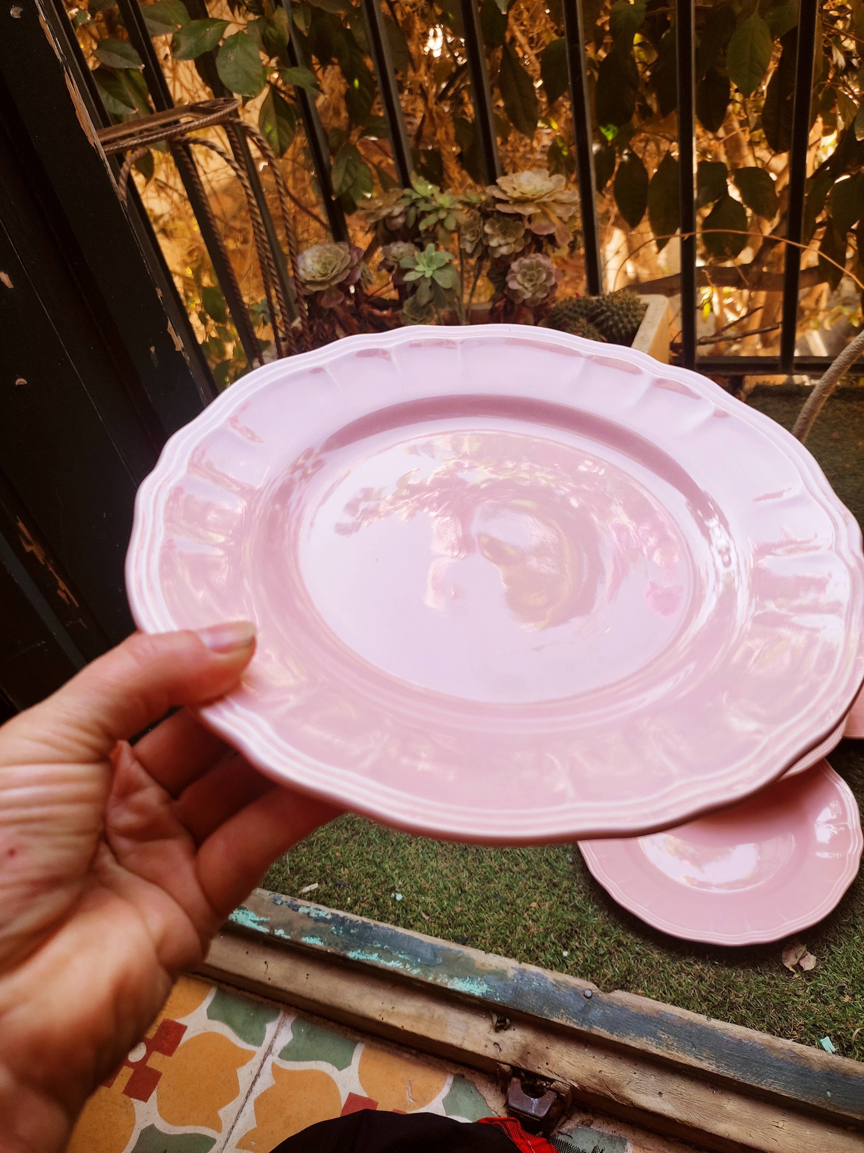 6 Salins plates in Provençal style earthenware