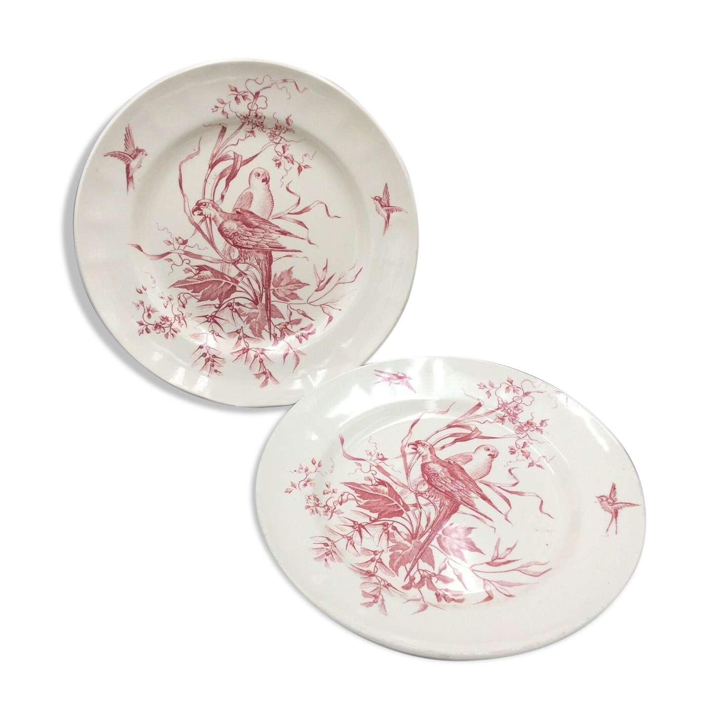 2 ancient plates longchamp congo parrot antique french plate parrot