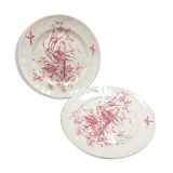 2 ancient plates longchamp congo parrot antique french plate parrot