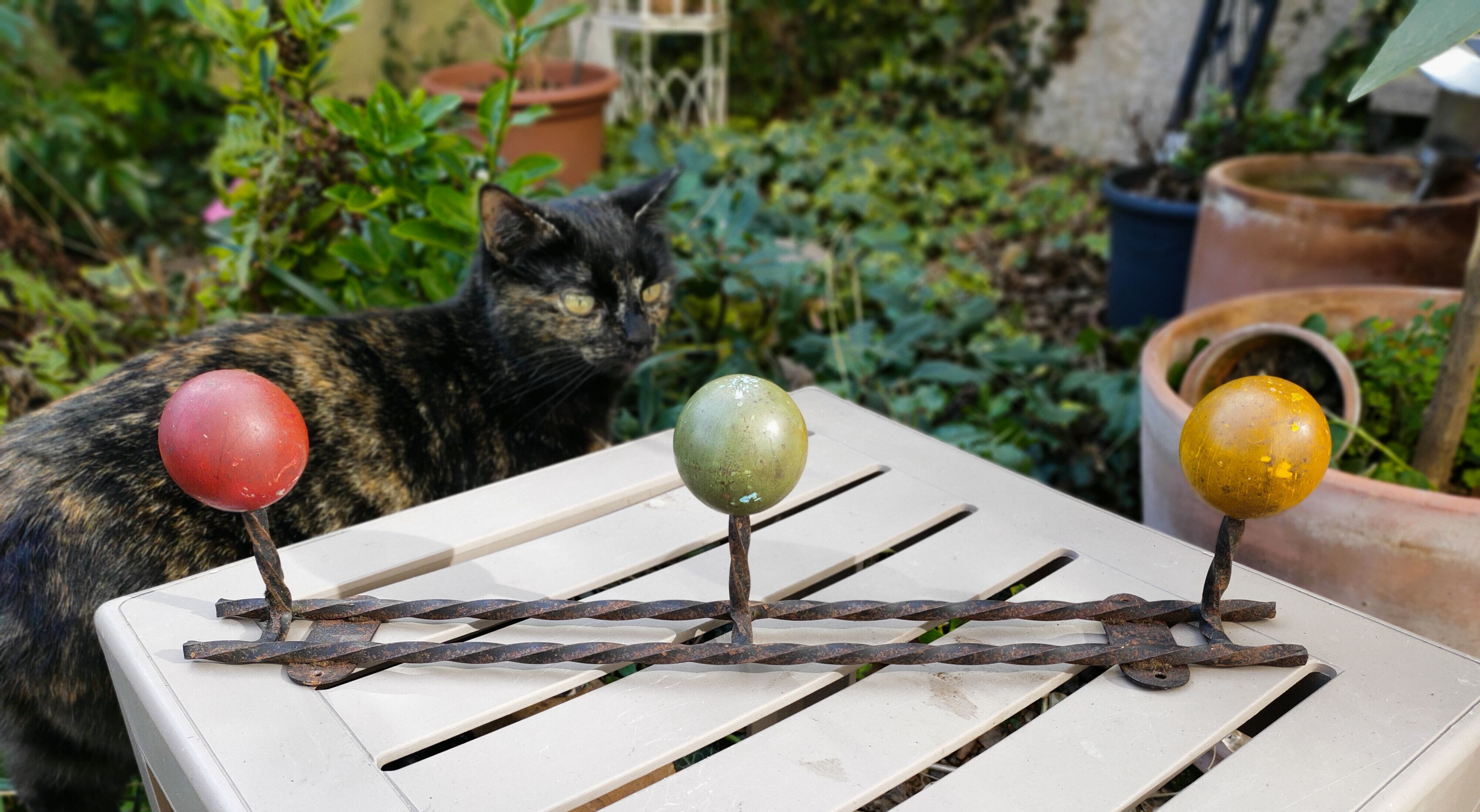 Vintage wall coat rack.