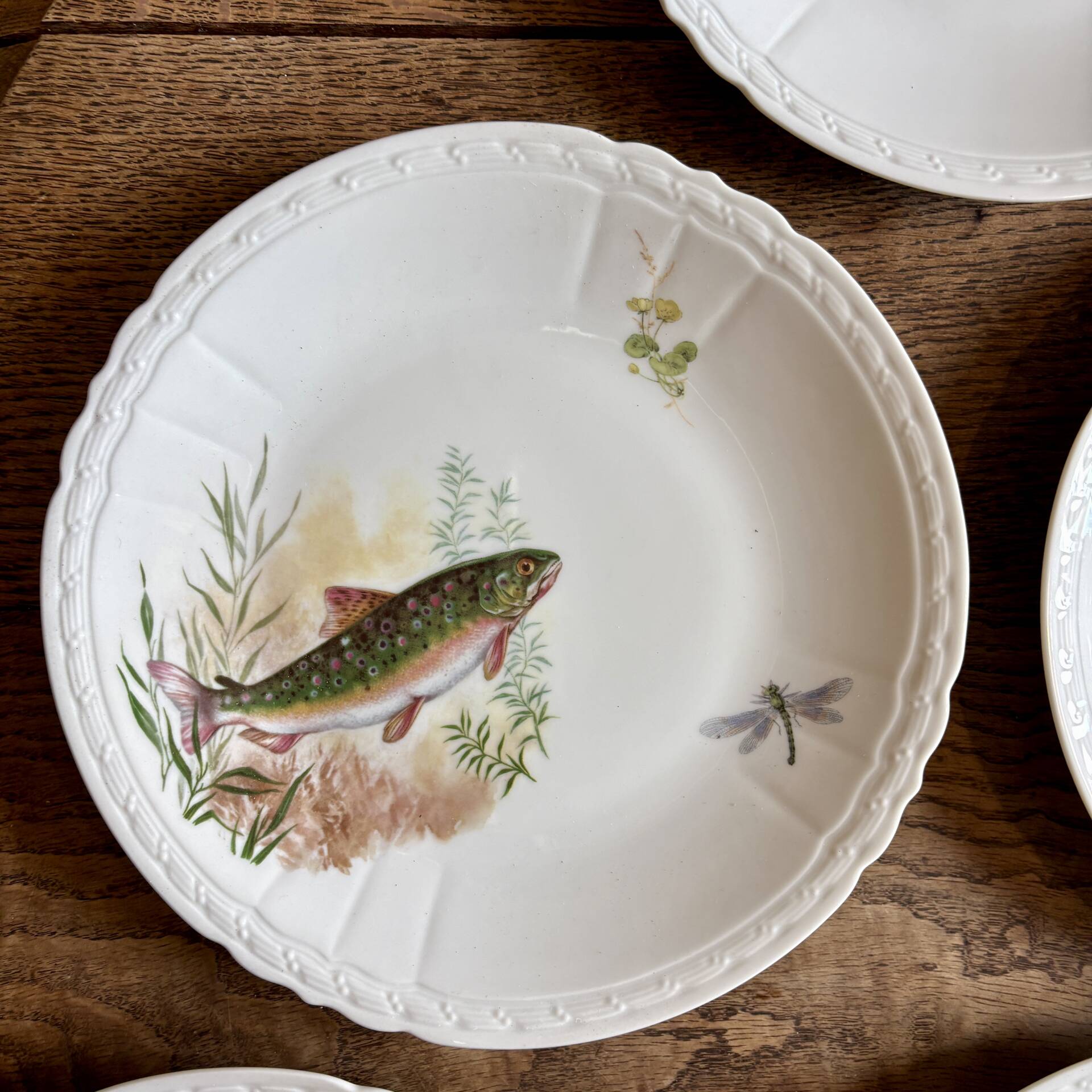 Set of 10 antique flat plates in porcelain, decorated with fish.