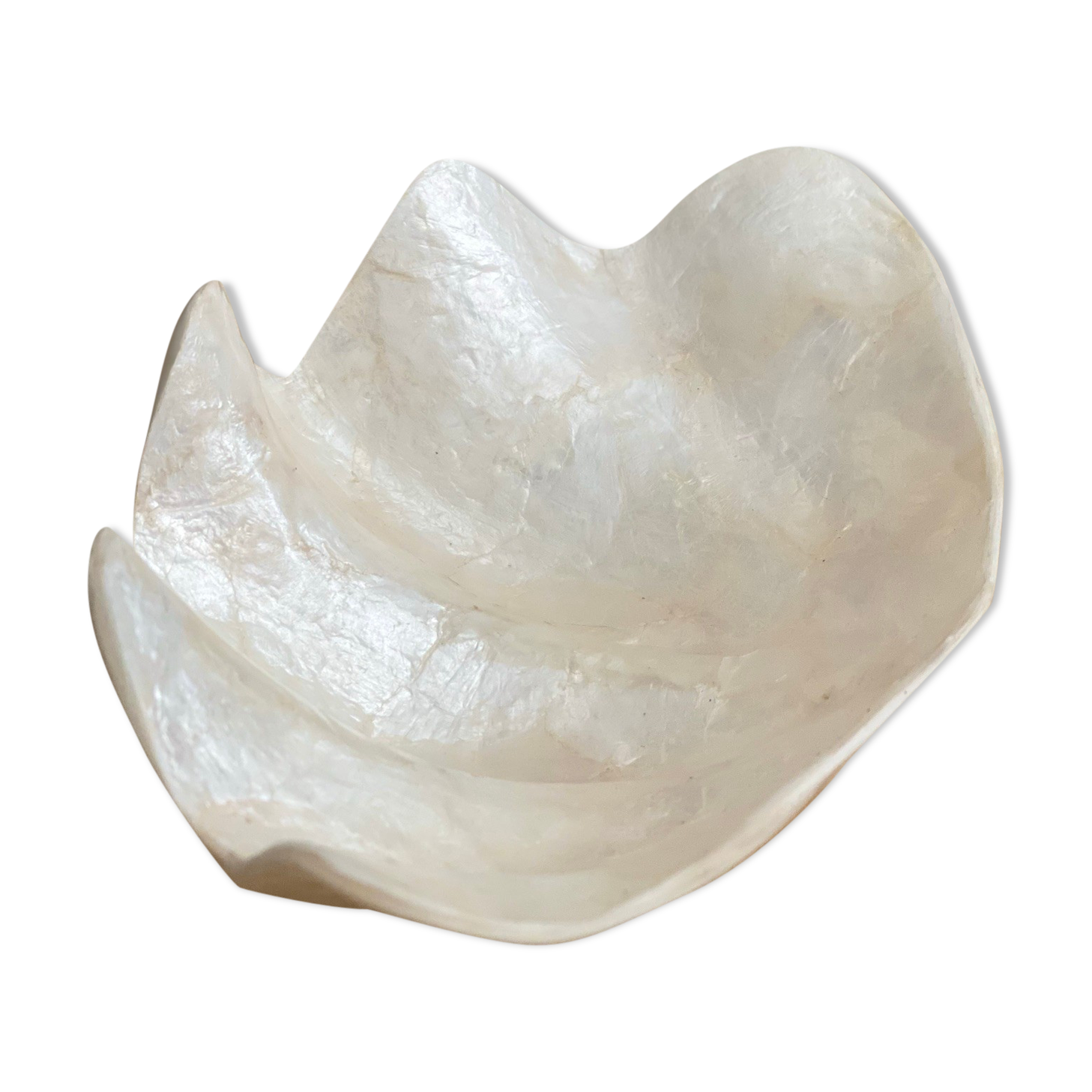 Pearly white shell benign cup