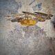 Pendant light, chandelier, rattan flower petals and vintage globe
