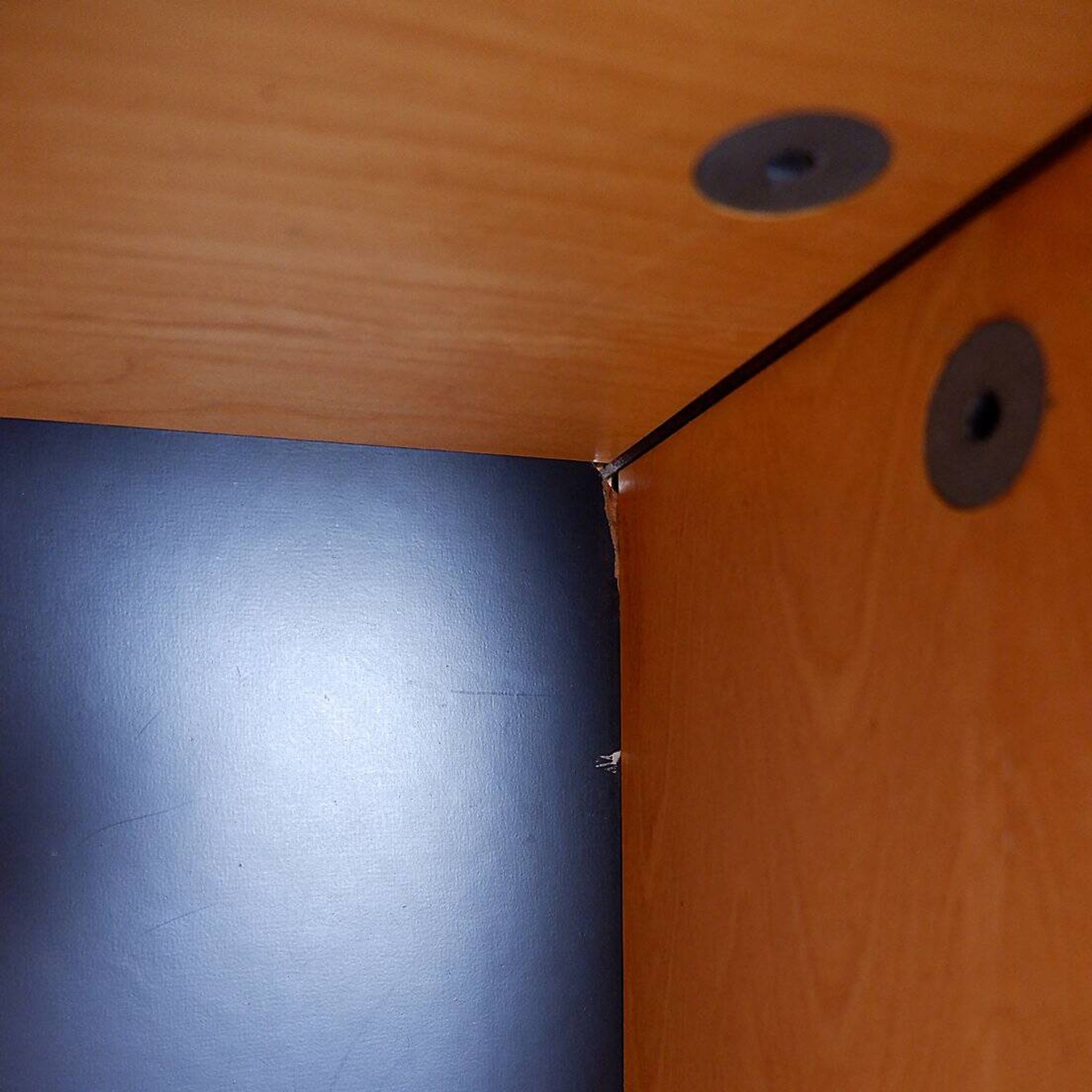 Storage unit by Cees Braakman for Pastoe, Netherlands 1955