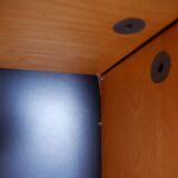 Storage unit by Cees Braakman for Pastoe, Netherlands 1955