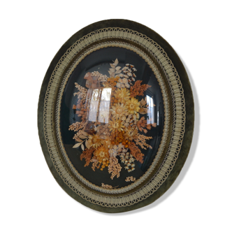 Frame of dried flowers under domed glass 52cm x 42cm