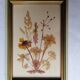 Herbier