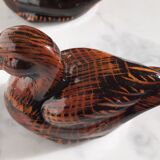 Couple of ducks