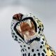 Decorative leopard