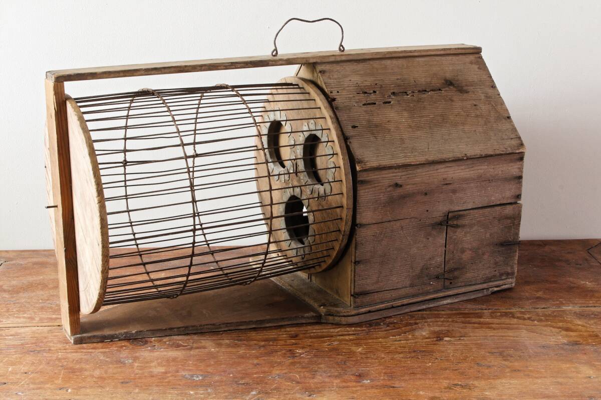 Cage à écureuil, 19ème siècle, bois et métal