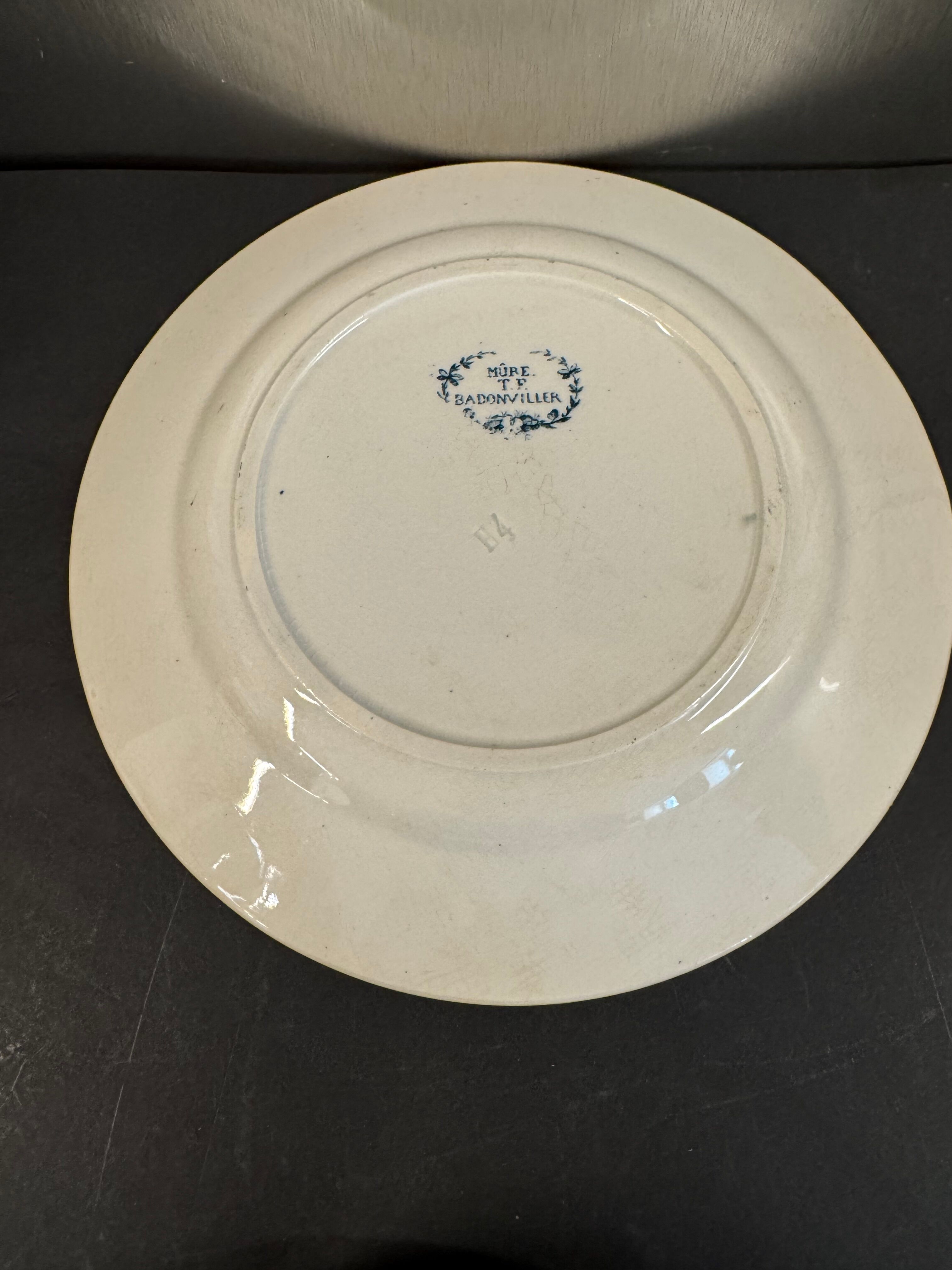 7 deep plates in ironstone "Mûre" Badonviller
