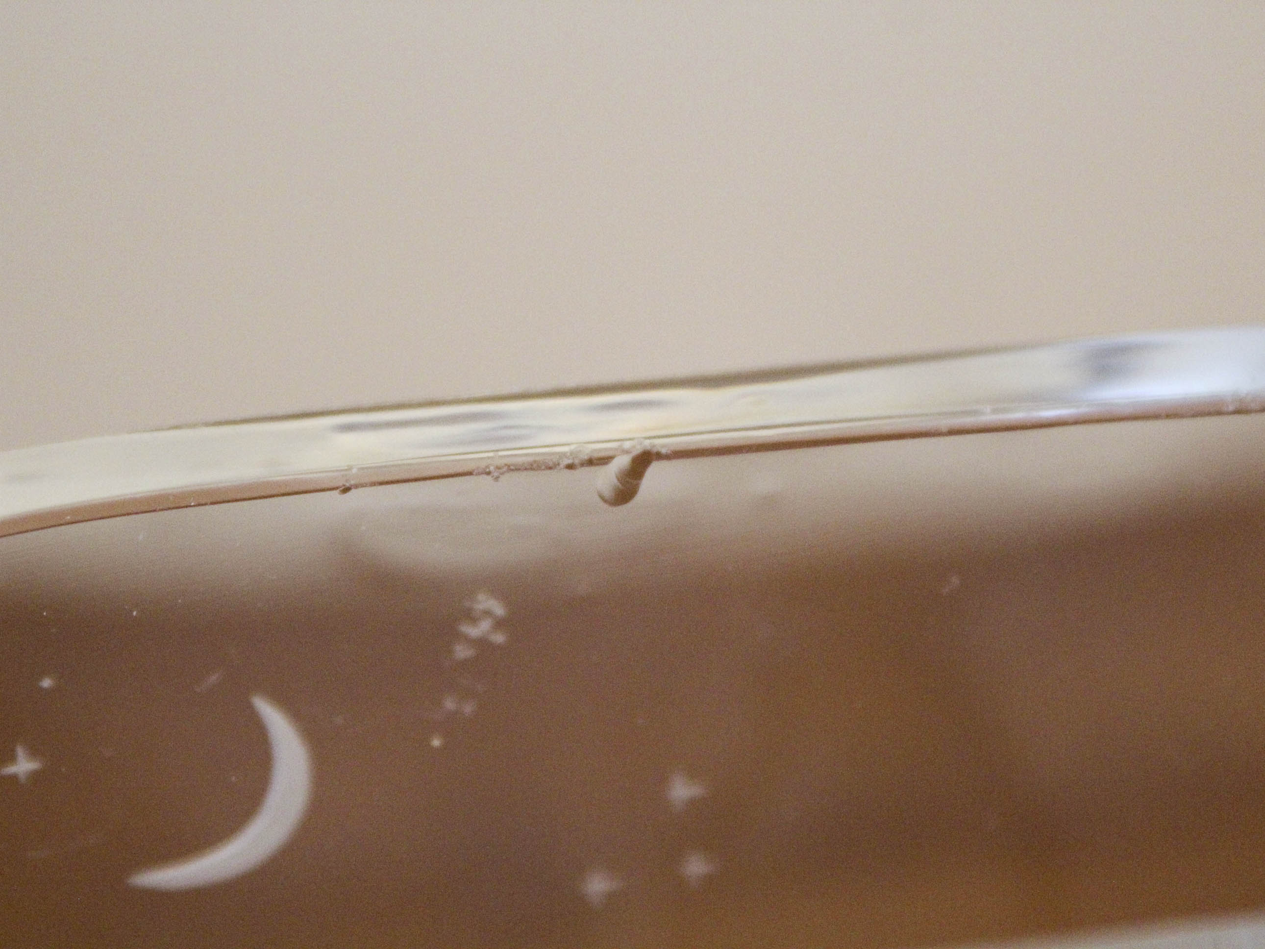 Orrefors vase engraved by Edvin Ohrstrom