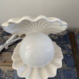 New electrified shell or shell lamp