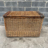 Wicker storage chest/trunk