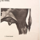 Poster by Dr. G Pusch, "Anatomy of Cows", 1901