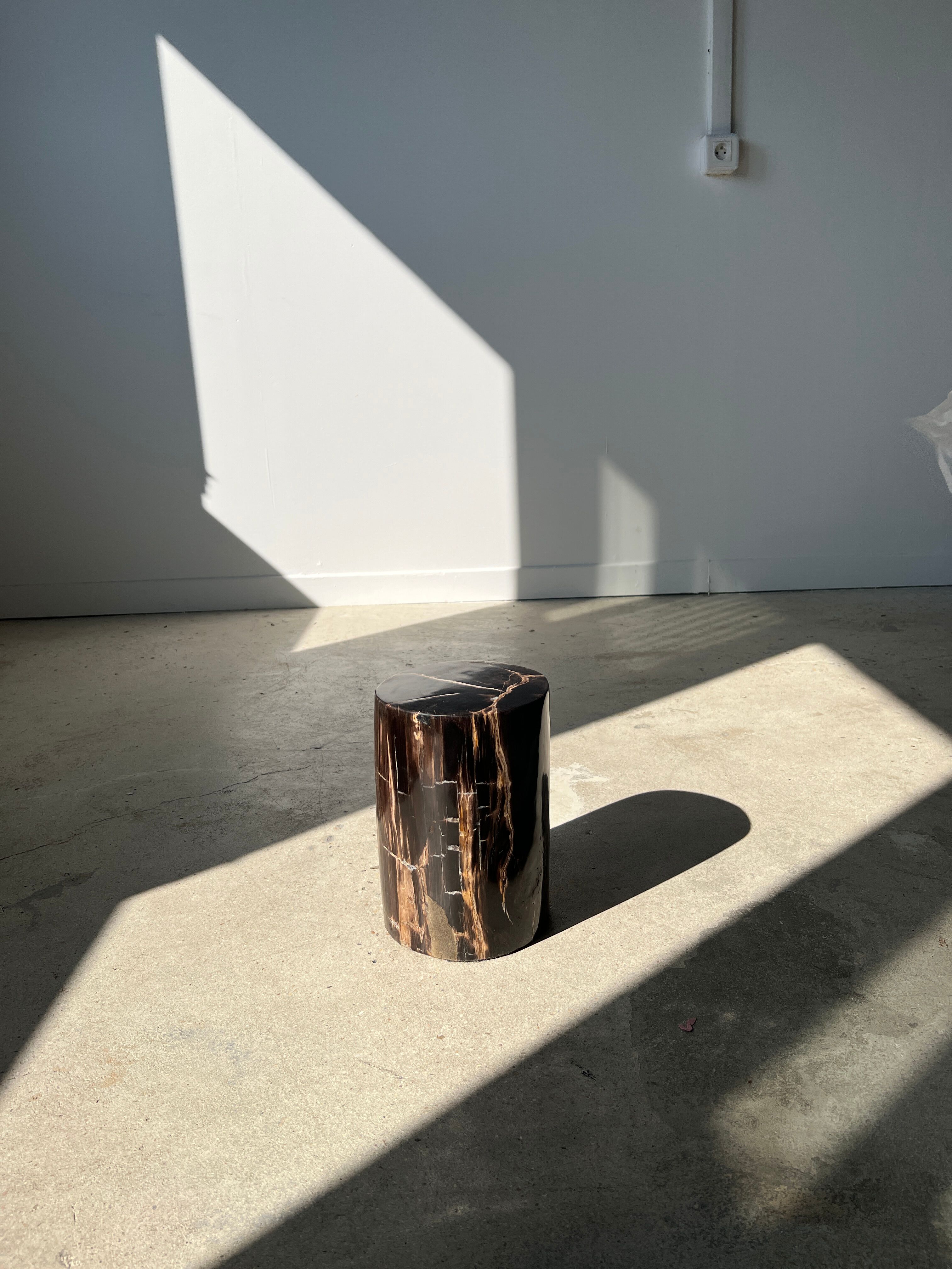 Side table in black petrified wood with light streaks h: 27,5cm d:18,5cm