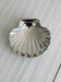 Scallop shell dish